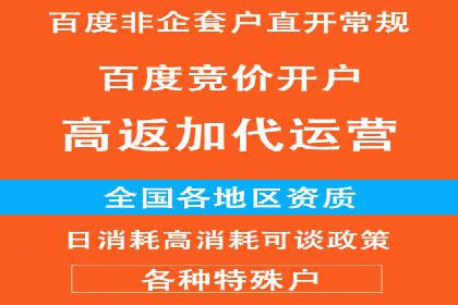 优化SEM广告投放：成功案例分享